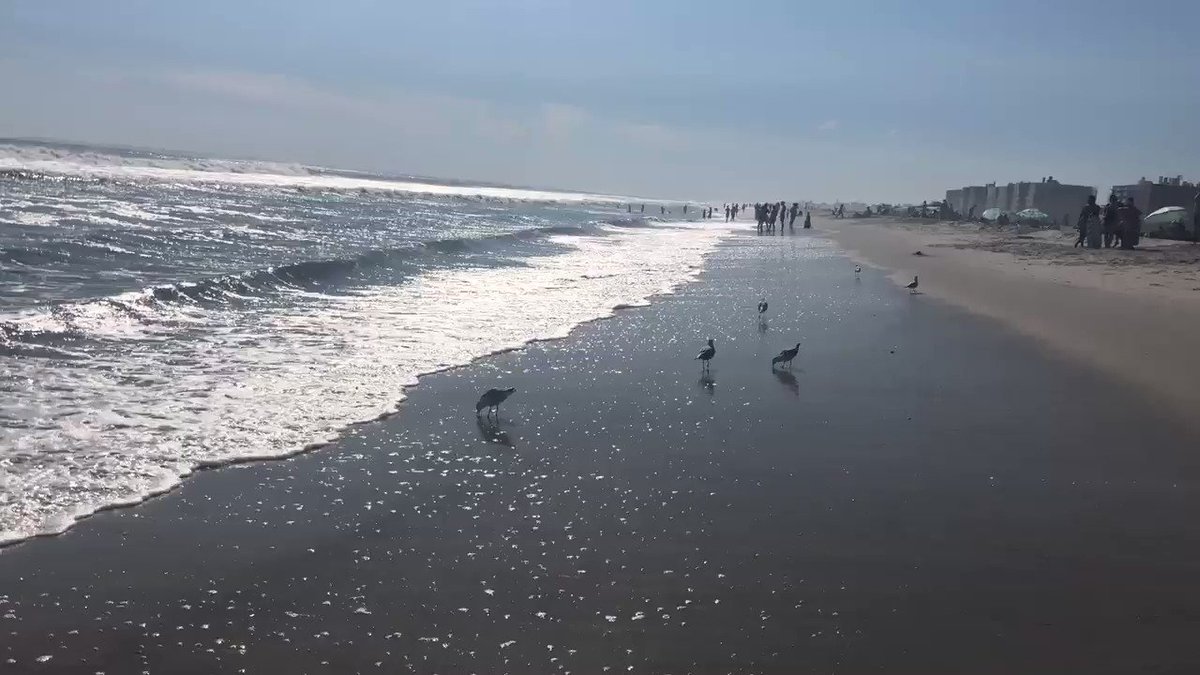 #Summer2019 it’s been real . How I’ll miss you . Until next year . 🏖☀️😎#Rockaways #RockawayBeach #NYCBeaches #Summer 😢