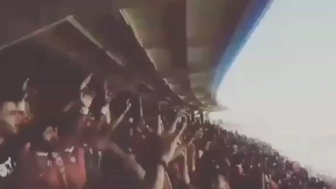 Embedded video