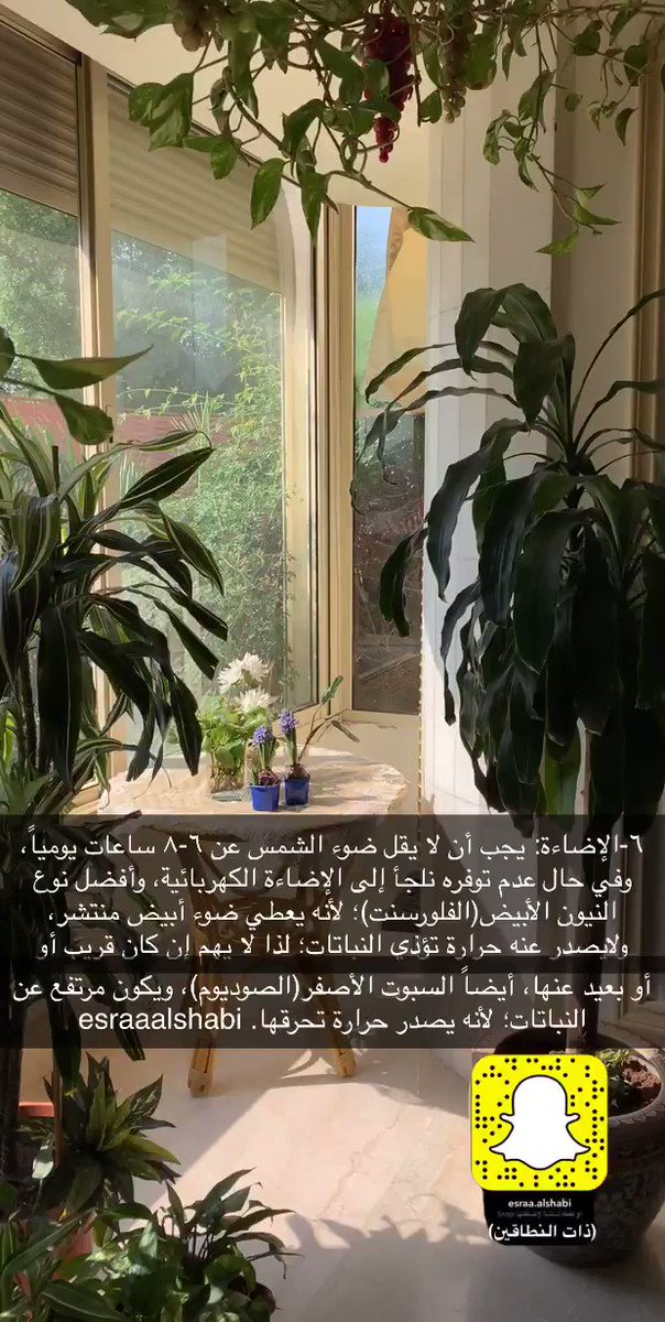 سلسة #دروس_ذات_النطاقين الزراعية درس العناية بالنباتات الداخلية المزهرة الدرس كاملاً سيكون تحت هذه التغريدة ? أرجو عدم السؤال أو الاستفسار إلا بعد - المسلسل من ذات النطاقين / إسراء الشعبي @esraaalshabi - رتبها سلسة #دروس_ذات_النطاقين الزراعية درس العناية بالنباتات الداخلية المزهرة الدرس كاملاً سيكون تحت هذه التغريدة ? أرجو عدم السؤال أو الاستفسار إلا بعد - المسلسل من ذات النطاقين / إسراء الشعبي @esraaalshabi - رتبها