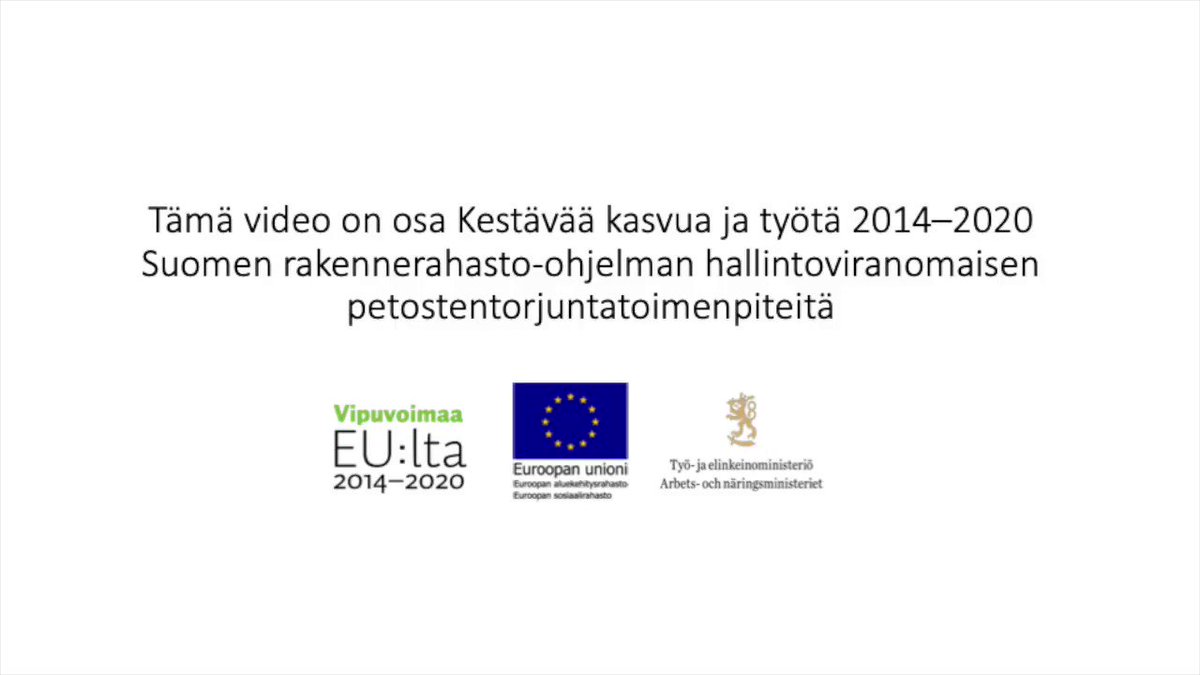mitä odottaa, kun dating Härkä nainen