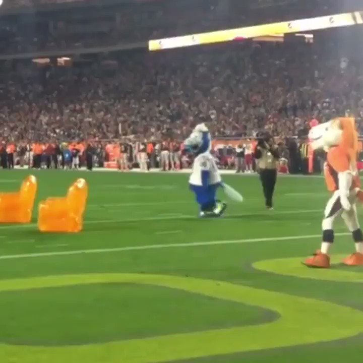 XgraveWorm85X (@Worm85X) on Twitter photo 2019-09-25 19:13:19 The Colts mascot is a legend 🐐💯 @blue The Colts mascot is a legend 🐐💯 @blue