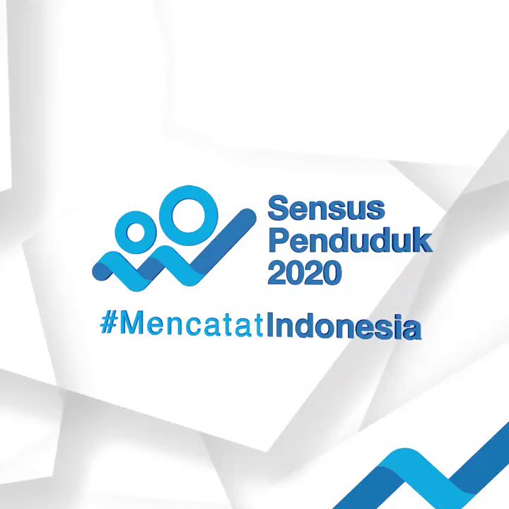 badan pusat statistik papua penduduk