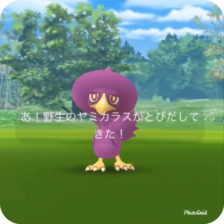 ヤミカラス Twitter Search Twitter