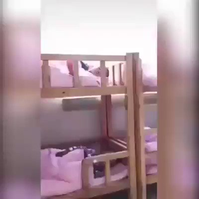 Yerleştirilmiş video