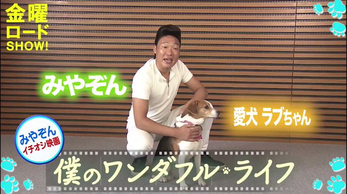 みやぞん の評価や評判 感想など みんなの反応を1時間ごとにまとめて紹介 ついラン