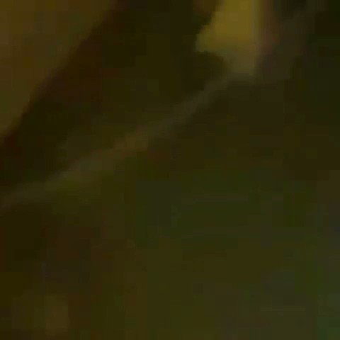 Video insertado