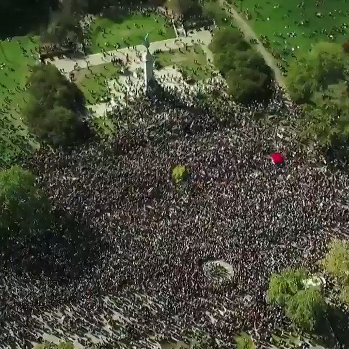 47JwlUfPyHY3tNTb?format=jpg&name=900x900