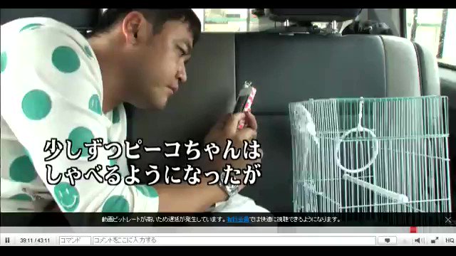 パラノーマルちゃんねる 探偵ナイトスクープ 迷子のインコが喋ってる内容が怖いと大騒ぎになった問題の動画 ピーちゃんごめんね ここは異世界かも 内職してたら急に誰もいなくなった ピーちゃんだけでも逃げて 電話も繋がらない 私は出て行きます パラノーマルちゃんねる 探偵ナイトスクープ 迷子のインコが喋ってる内容が怖いと大騒ぎになった問題の動画 ピーちゃんごめんね ここは異世界かも 内職してたら急に誰もいなくなった ピーちゃんだけでも逃げて 電話も繋がらない 私は出て行きます
