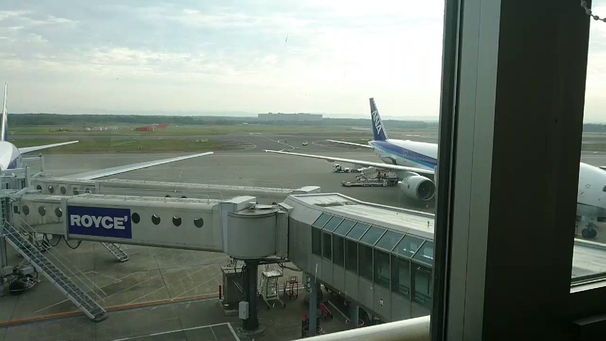 ここではよく見る光景？新千歳空港で人間と鹿の追いかけっこが始めるwww