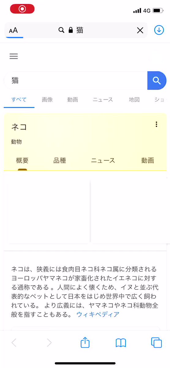 Googleで動物を調べたらARで見ることができるようになった！！！