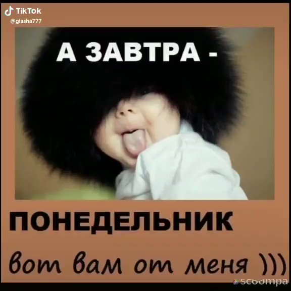 Солнечного утра, картинка смешная завтра понедельник