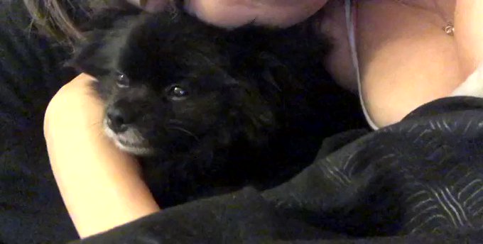 My entire heart ?? https://t.co/Nh31A8oXM2