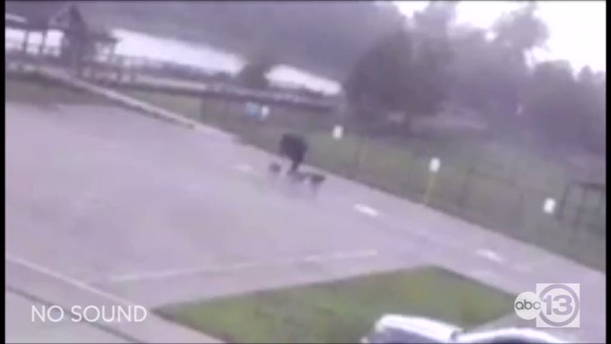 Embedded video