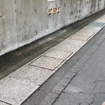 とても可愛い3匹のわんちゃんの動画です。顔だけが出ていて可愛い!