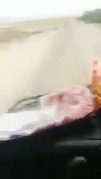 Embedded video