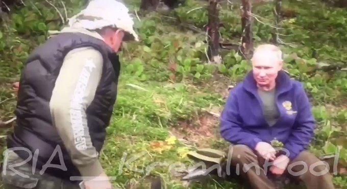 Встроенное видео