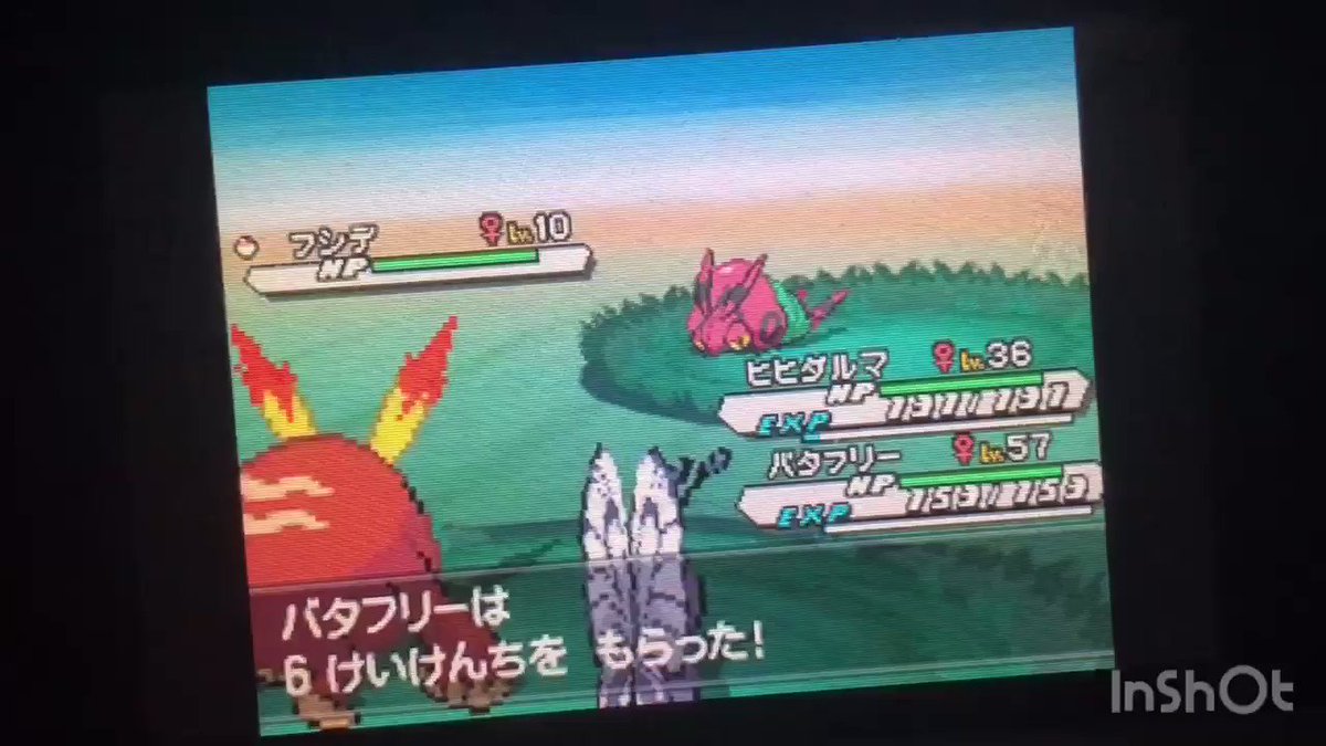 第一 第七世代ポケモン仕様検証ツイートメモ 7ページ目 Togetter