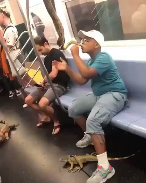 NYC, if you’re coming to my Nov 8th show at @thegarden... please, leave your MF-in snakes 🐍 on the MF-in train!! 😂 Find tix at http://TrevorNoah.com/shows 🙌🏾