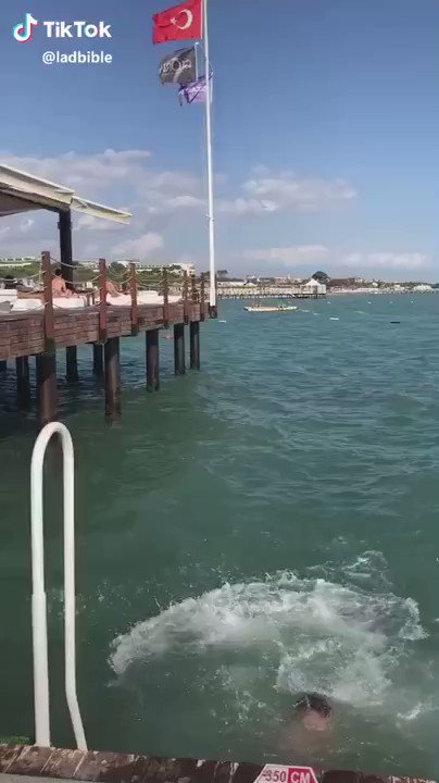 彼らは再び帰ってきた。なぜかクオリティが高く見える逆再生