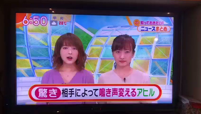 メンバーのペットのアヒルが先に有名になるバンド、OKOJOです。
飼い主がやってるバンドも良いので是非聞いてください👦🏻
最新MV「最低なラブソング」
🎊28万回再生突破🎊
👉🏻https://youtu.be/045bFwn4pWw