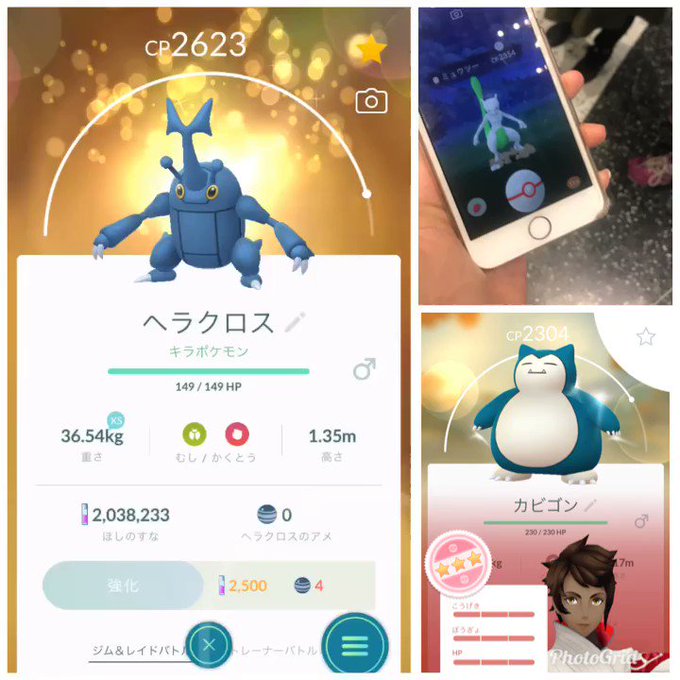 ヘラクロス の評価や評判 感想など みんなの反応を1時間ごとにまとめて紹介 ついラン