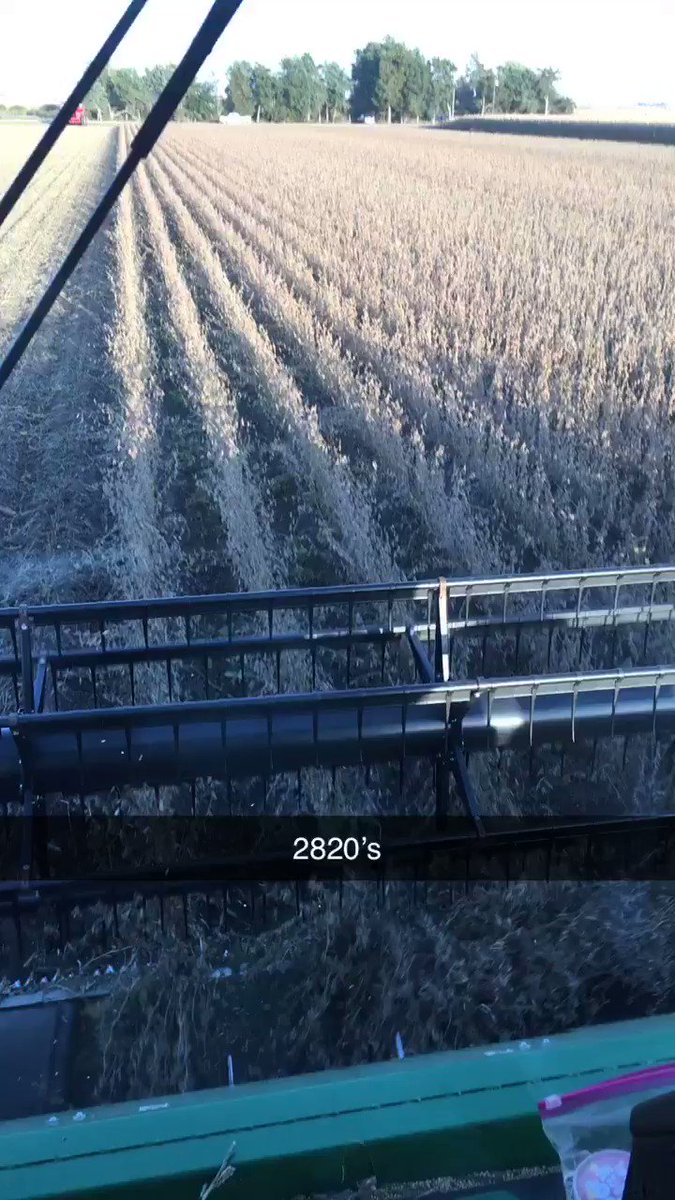 The plot winner is @ChannelSeed 2820’s. Didn’t achieve our 90 bushel goal, but they still did well. Will look to make a few more tweaks for next year. Unfortunately the stem borer situation is very challenging, especially on the ridges. #Alwayslearn #Harvest19 #PlacedtoPerform