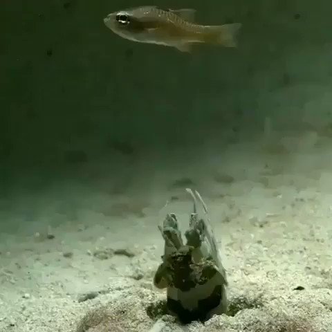 OceanFirstInst photo