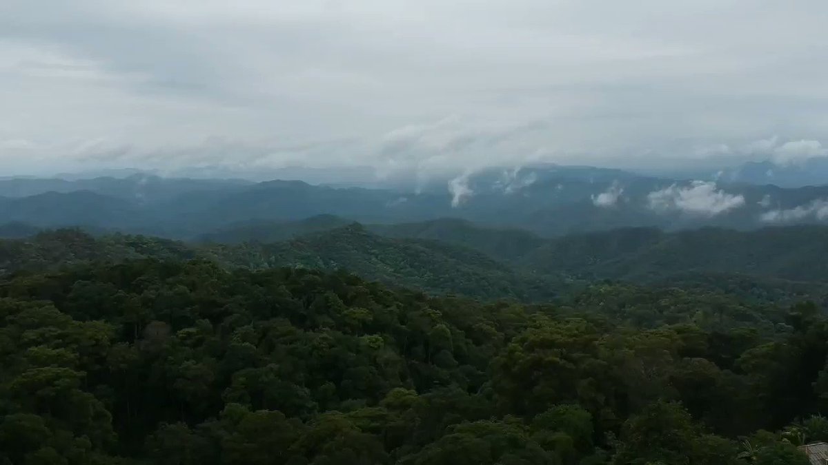 @johnnybananas's photo on #TheChallenge34