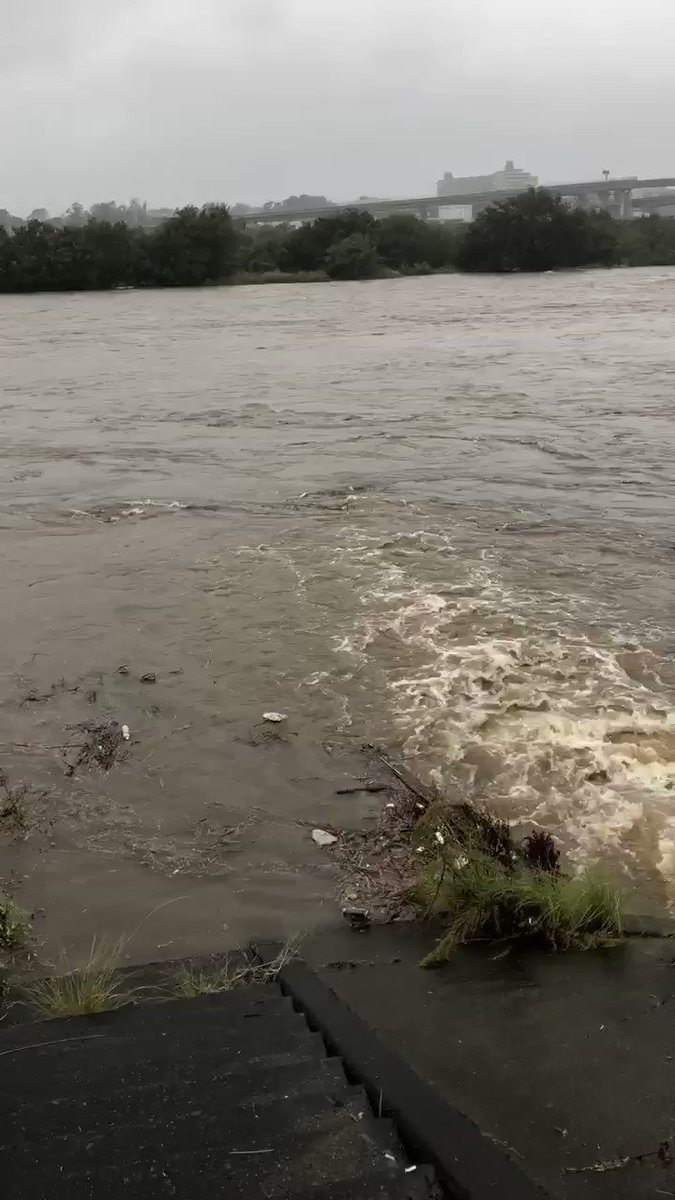 相模川 桂川の水位ライブカメラ映像21 現在氾濫の危険や状況を確認 週末改革