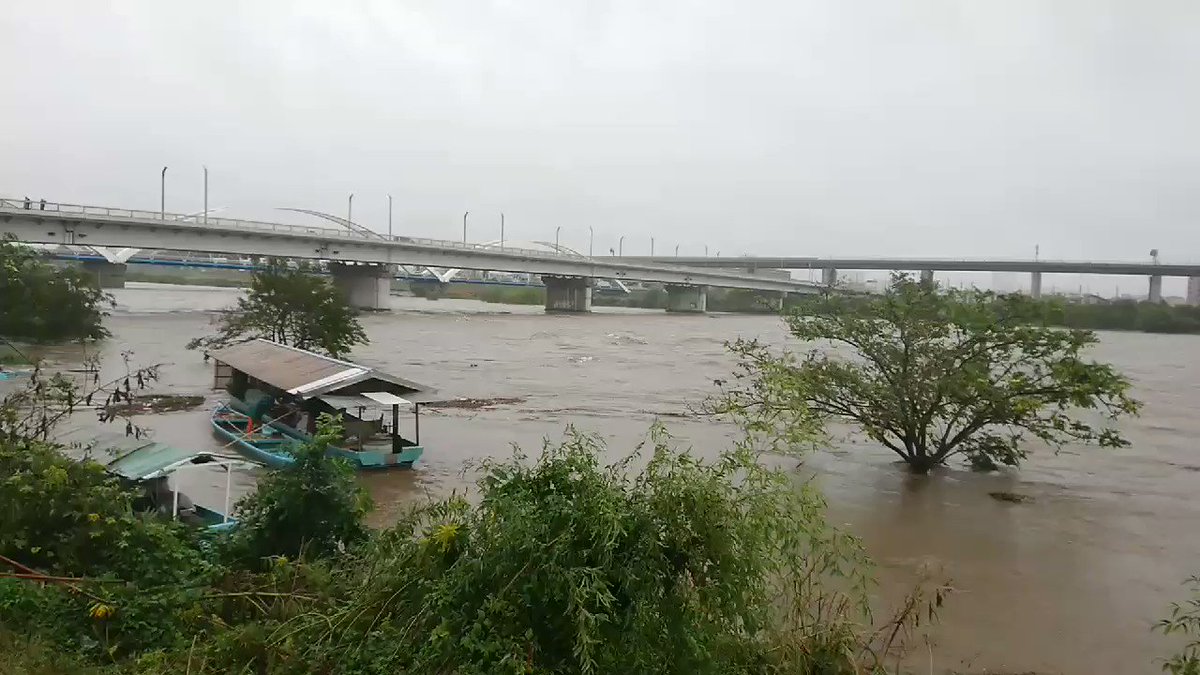 相模川 桂川の水位ライブカメラ映像21 現在氾濫の危険や状況を確認 週末改革