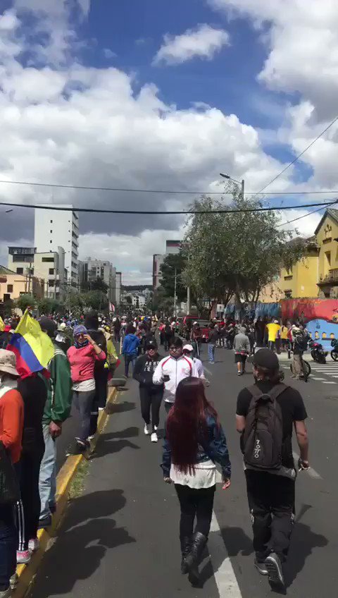 Video insertado