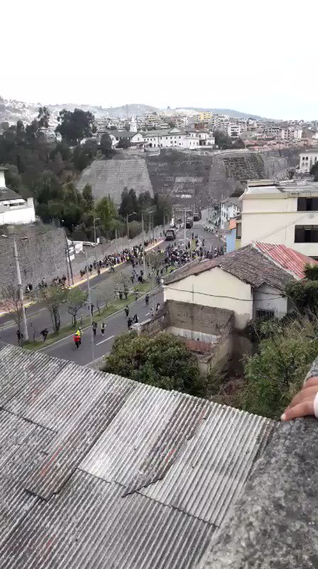 Video insertado