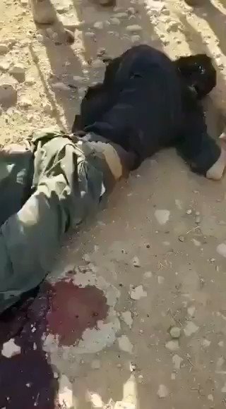 Embedded video