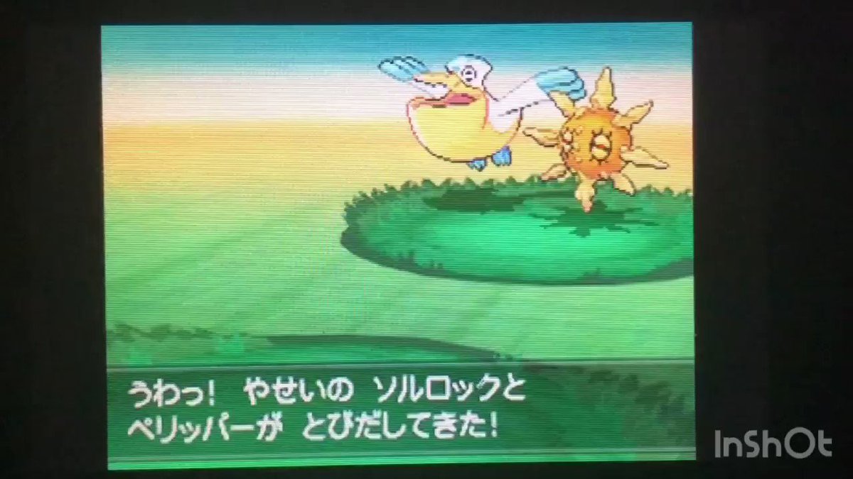 第一 第七世代ポケモン仕様検証ツイートメモ 7ページ目 Togetter