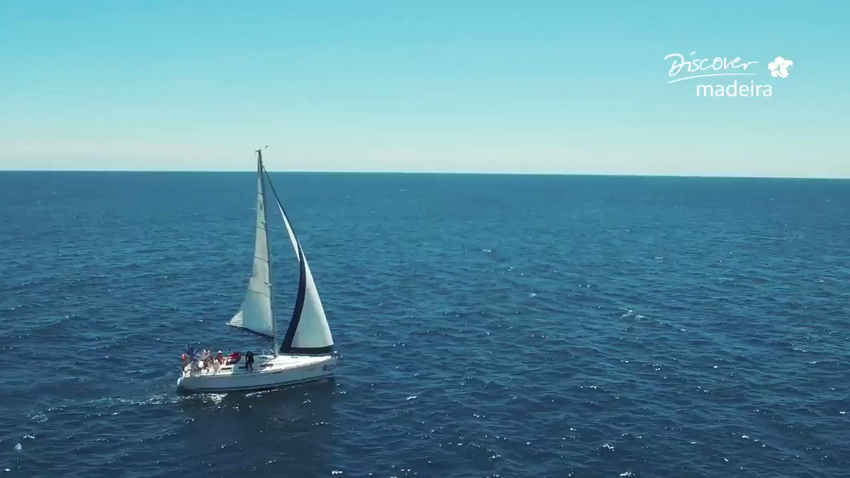 Madeira Island is nominated for the 5th time the best island in the world! Let’s vote? Siiiiiiiii
Place your vote at http://bit.ly/madeirabestisland2019 … #VisitMadeira #MadeiraNoWordsNeeded #TheBestIslandInTheWorld
@visitmadeira