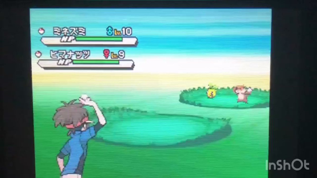 第一 第七世代ポケモン仕様検証ツイートメモ 7ページ目 Togetter