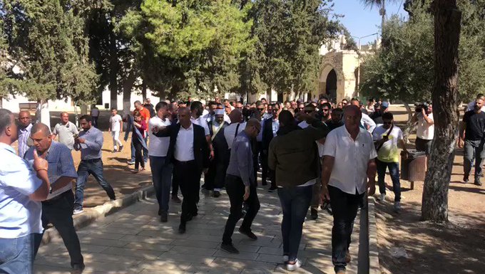 فيديو مُضمّن