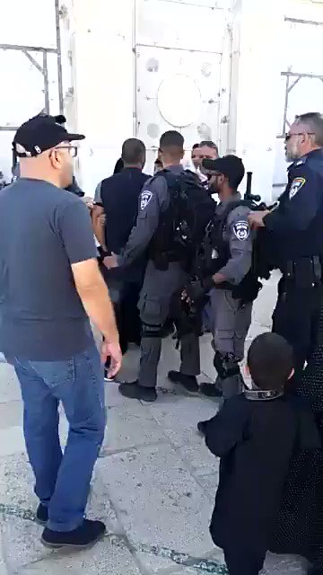 فيديو مُضمّن