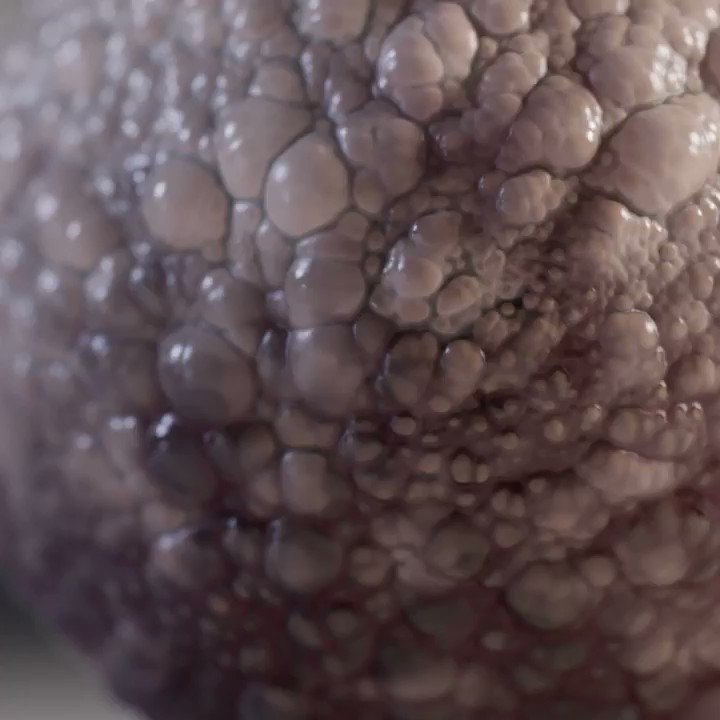 #procgen eye test. Eyes everywhere, anytime, and any size. Turn this up, @gutterboxaudio did the amazing sound design on this.Done in @sidefx #houdini #redshiftIn case of compression woes, here’s a Youtube link - https://youtu.be/s1qKqu8ppfg