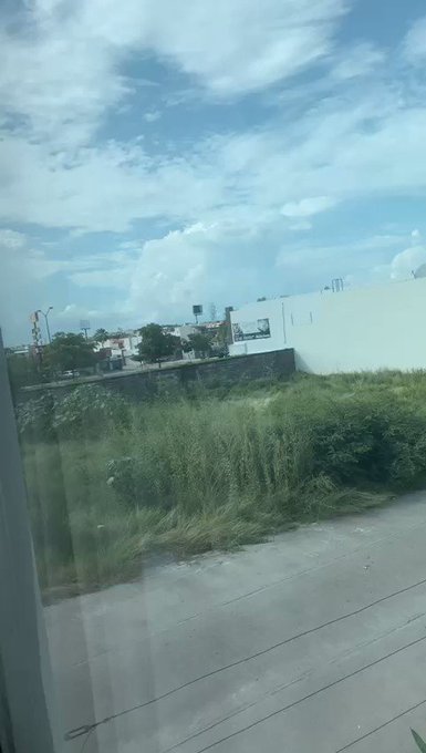 Video insertado