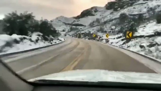 Video insertado