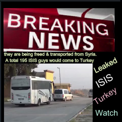 Embedded video