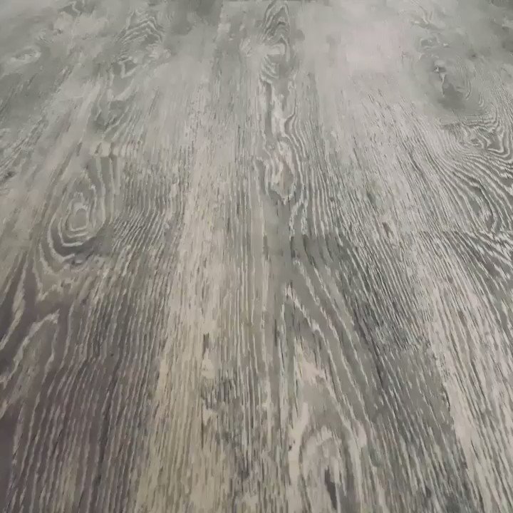Rise of the Roomba...Join the resistance now.