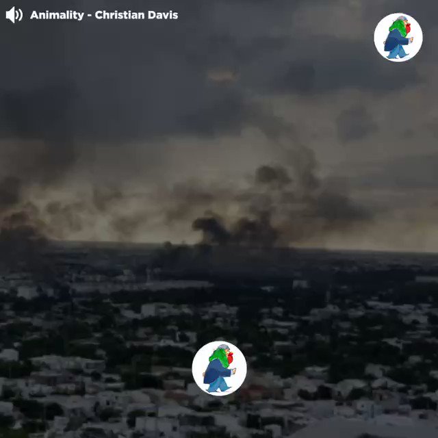Video insertado