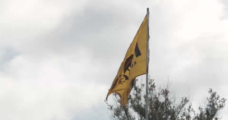 Alabama State FB (@BamaStateFB) on Twitter photo 19/10/2019 16:41:39 𝕮𝖑𝖆𝖘𝖘𝖎𝖈 𝖂𝖊𝖊𝖐 #STATEofMind 𝕮𝖑𝖆𝖘𝖘𝖎𝖈 𝖂𝖊𝖊𝖐 #STATEofMind