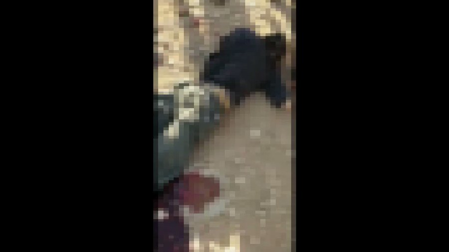 Embedded video