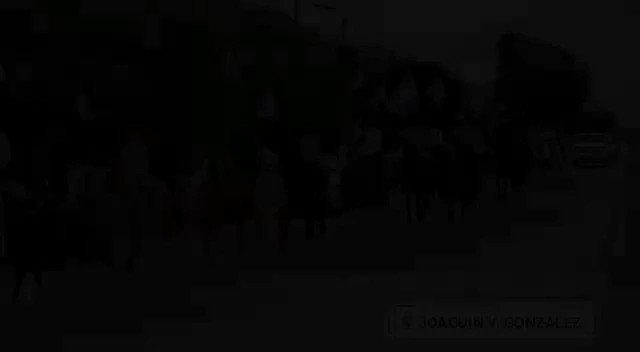 Video insertado