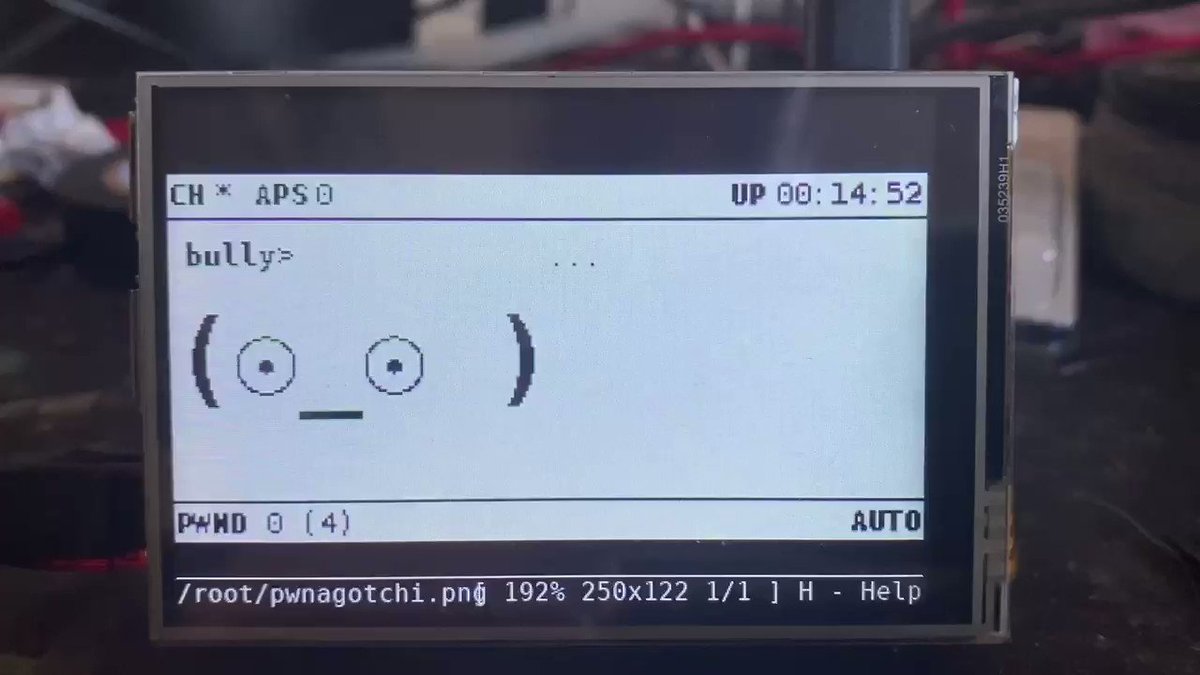 pwnagotchi tft display in stock