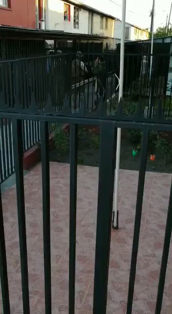 Vídeo incorporado