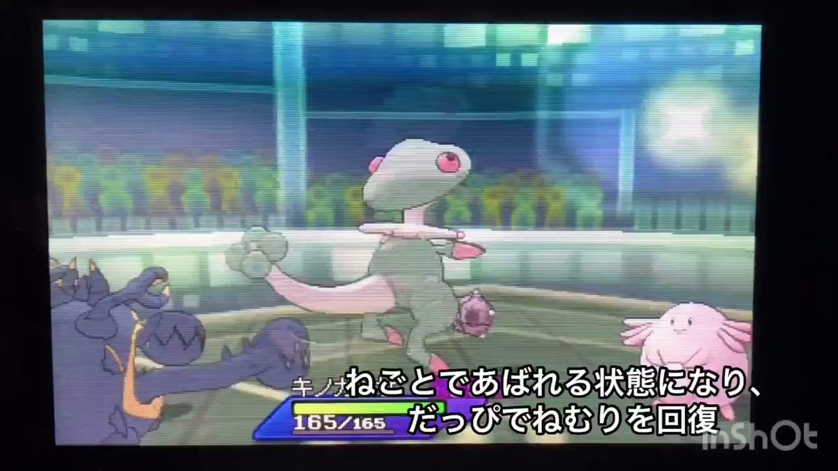 第一 第七世代ポケモン仕様検証ツイートメモ 7ページ目 Togetter